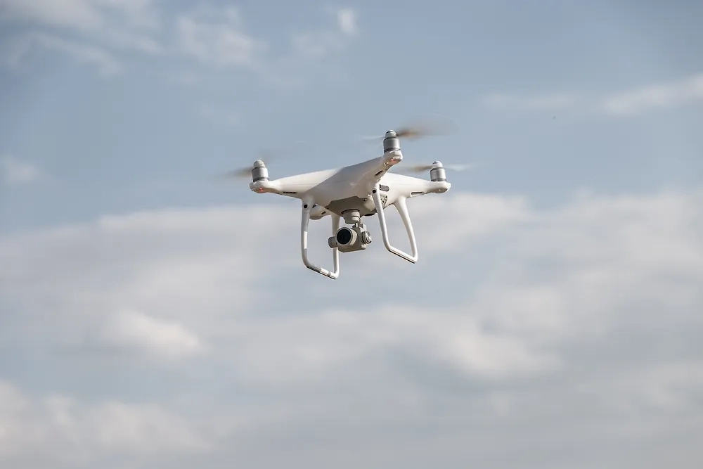 Обложка © Shutterstock / FOTODOM / hedgehog111