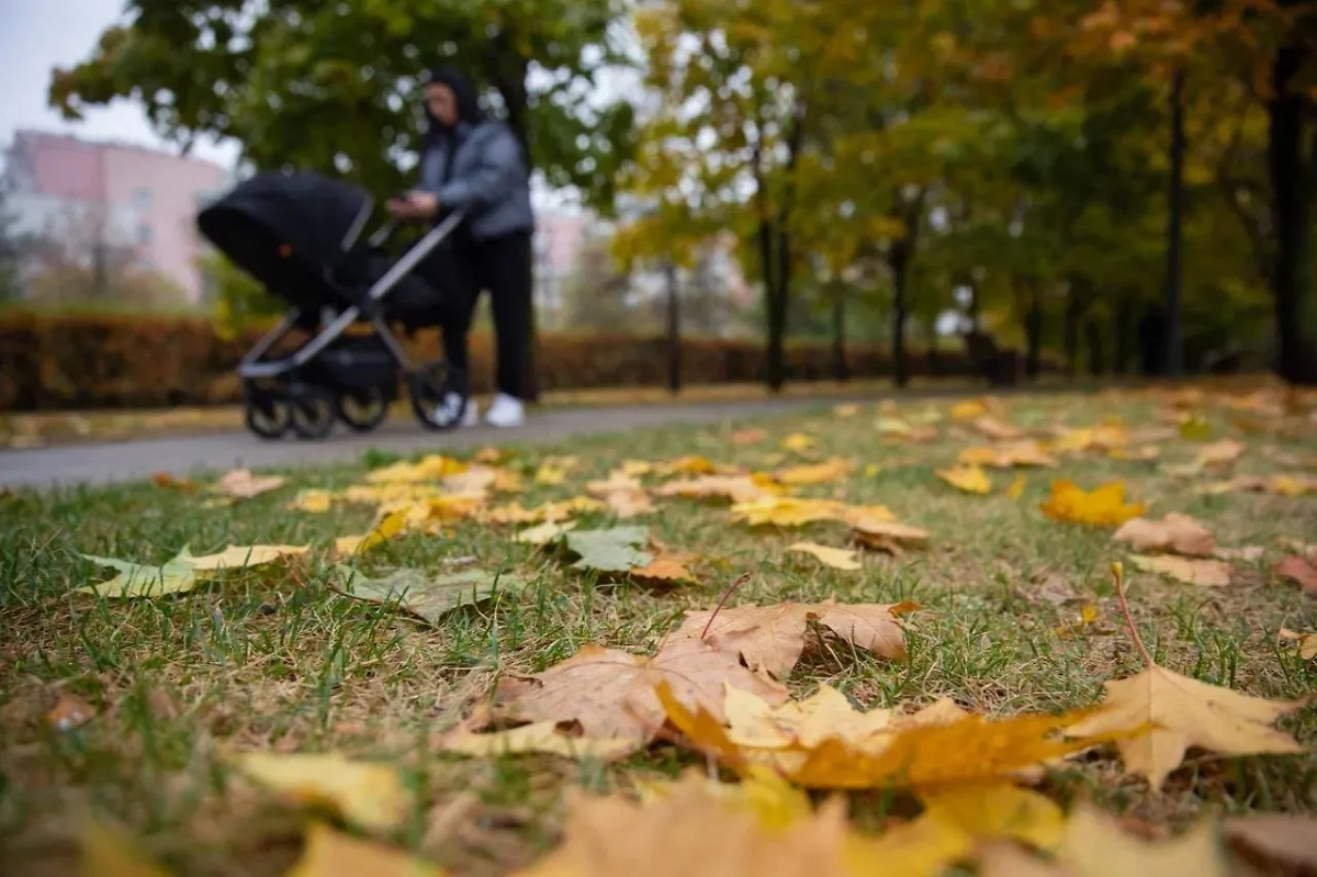 Обложка © Life.ru