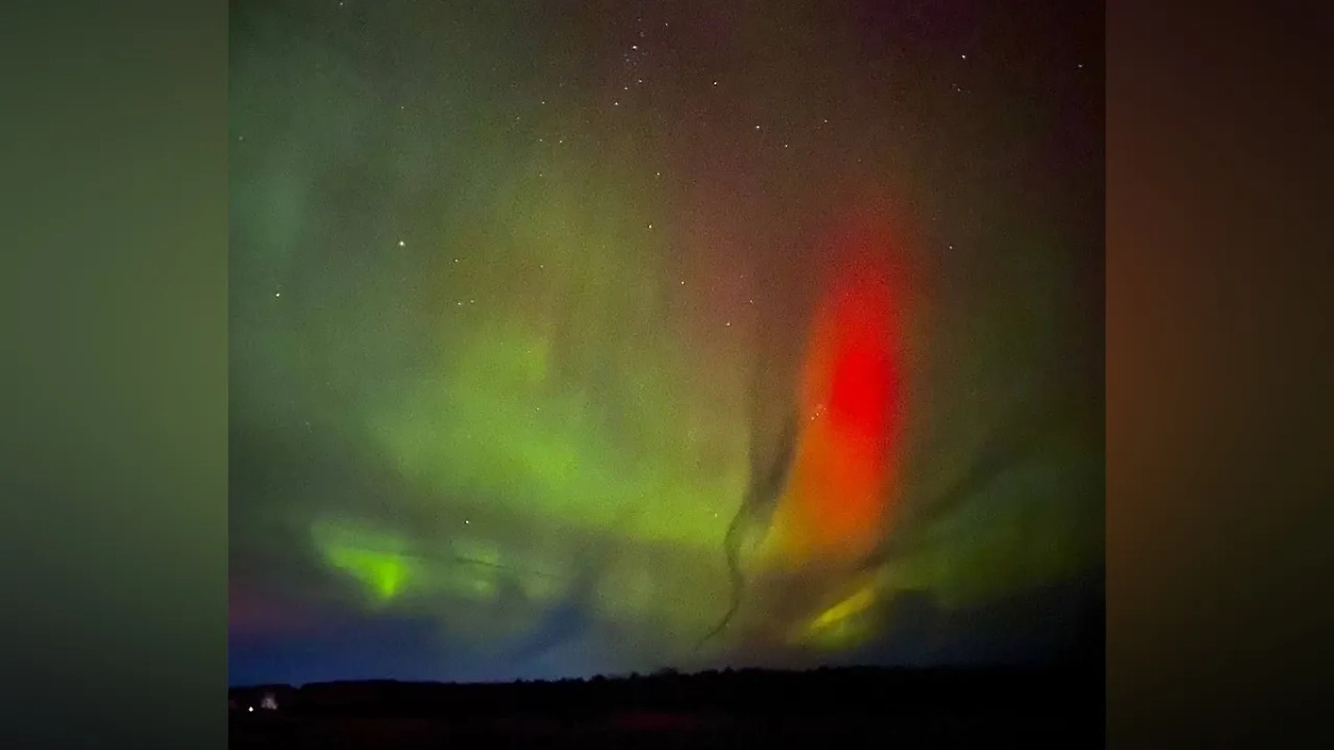 Северное сияние в Коми. Фото © Telegram /Коми - это Ж