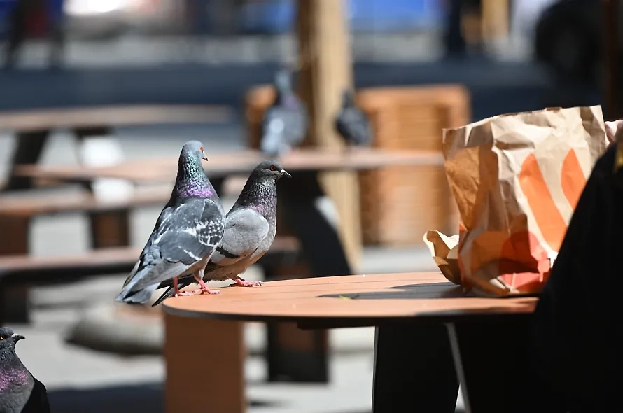 Обложка © Life.ru