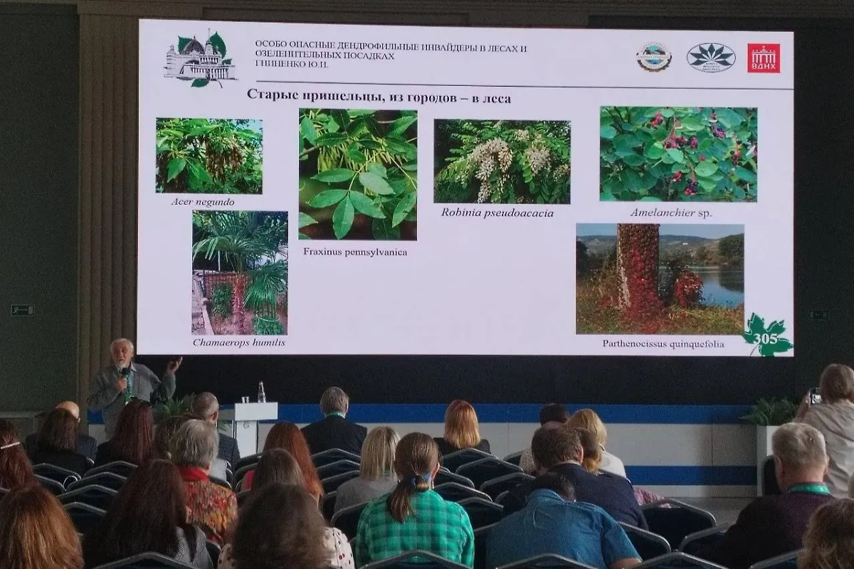 Эксперты подчеркнули необходимость борьбы с опасными растениями в России. Фото © Личный архив Виктора Исаева