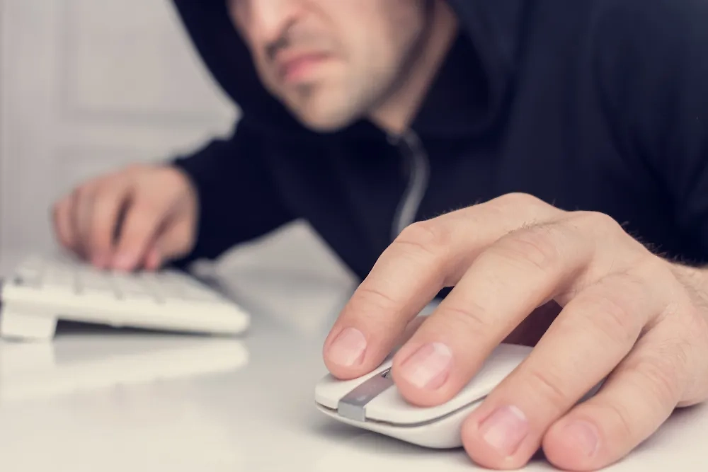 Обложка © Shutterstock / FOTODOM / Anastasiya 99