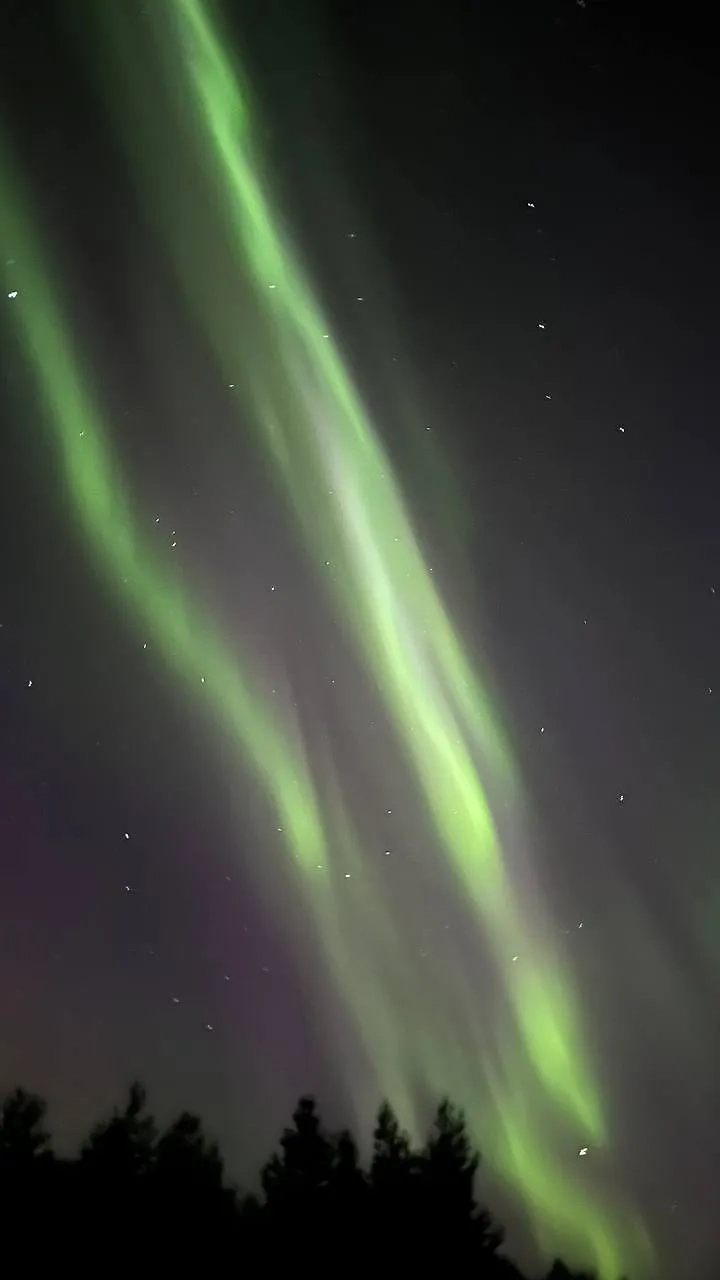 Фото © Telegram / Лаборатория солнечной астрономии