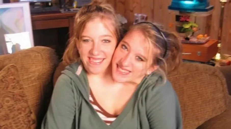 Обложка © YouTube / facts@WEB