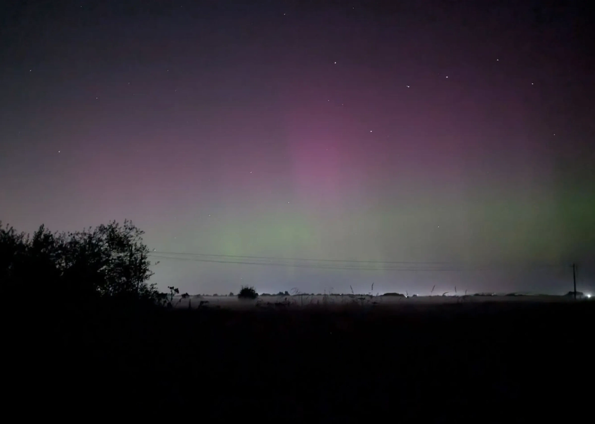 Ленинградская область. Фото © Telegram / eva_sundance