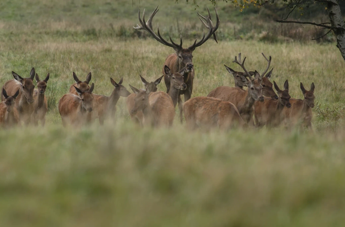 Обложка © freepik / vladimircech