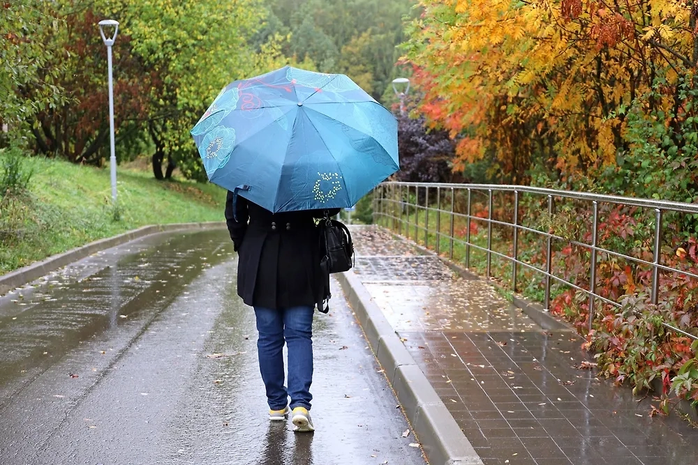Обложка © Shutterstock / FOTODOM / Oleg Elkov