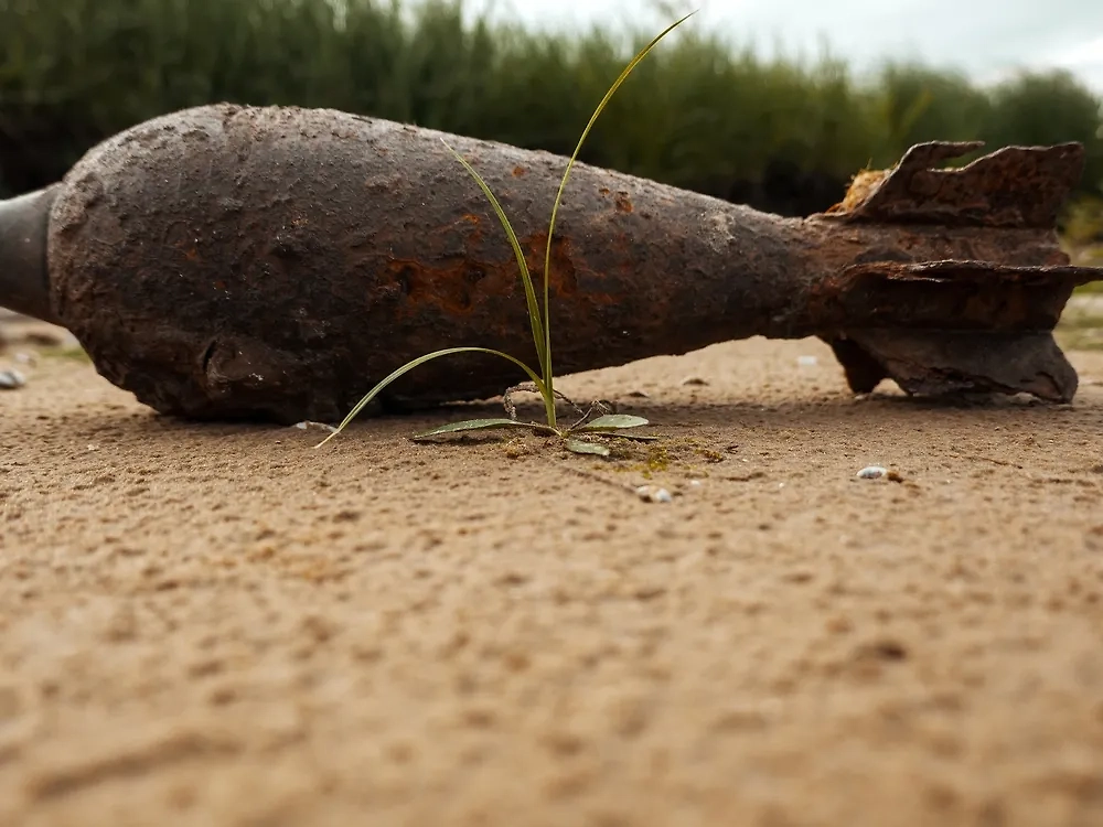 Снаряд. Обложка © Shutterstock / FOTODOM / Maximillian cabinet