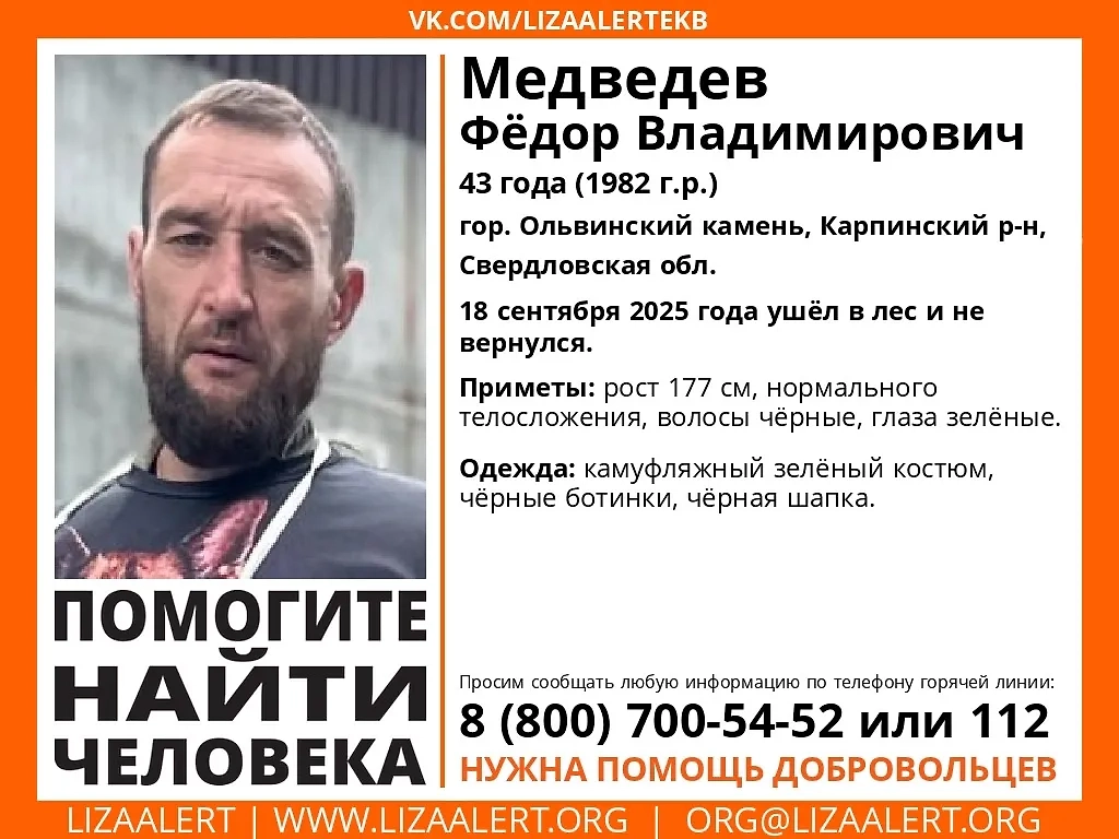 Объявление. Фото © VK / lizaalertekb