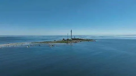 Остров Вайндло. Обложка © Х / Thomas Fazi