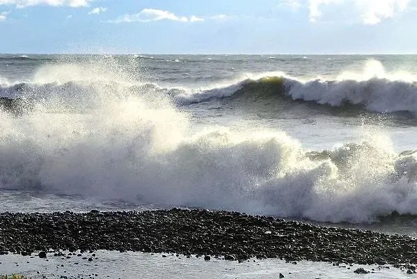 Обложка © Telegram / Сочи Официальный