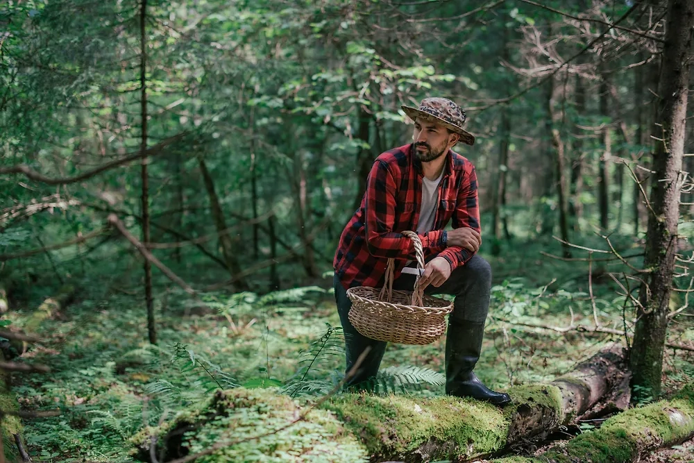 Обложка © Shutterstock / FOTODOM / Grusho Anna