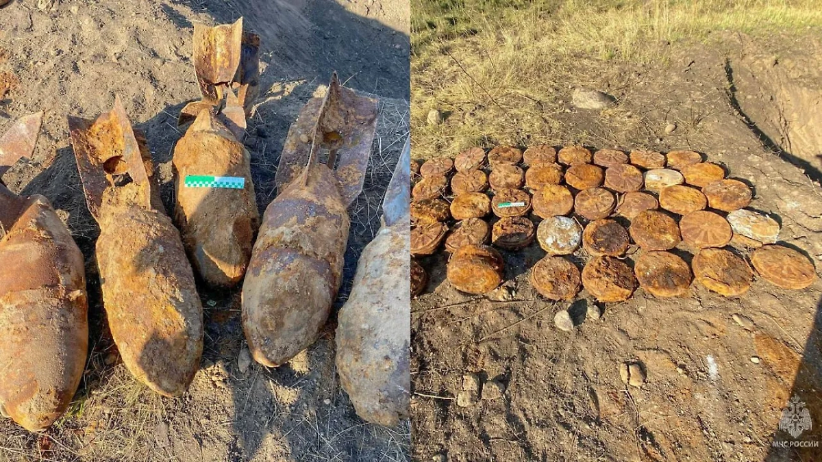 В Ленинградской области пиротехники МЧС России уничтожили 56 взрывоопасных предметов. Обложка © МЧС России