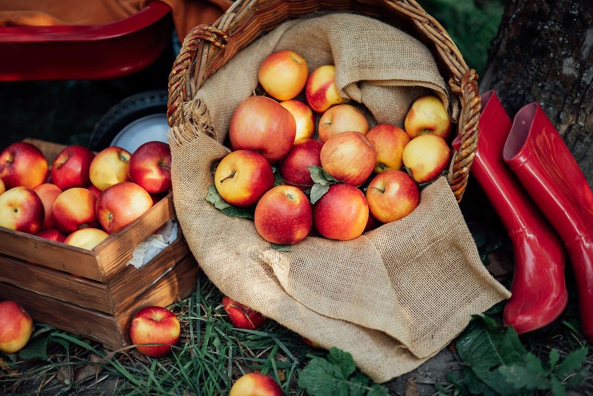 Обложка © Shutterstock / FOTODOM / Serenko Natalia