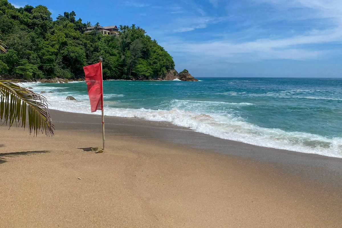 Обложка © Shutterstock / FOTODOM / Lifestyle_shots