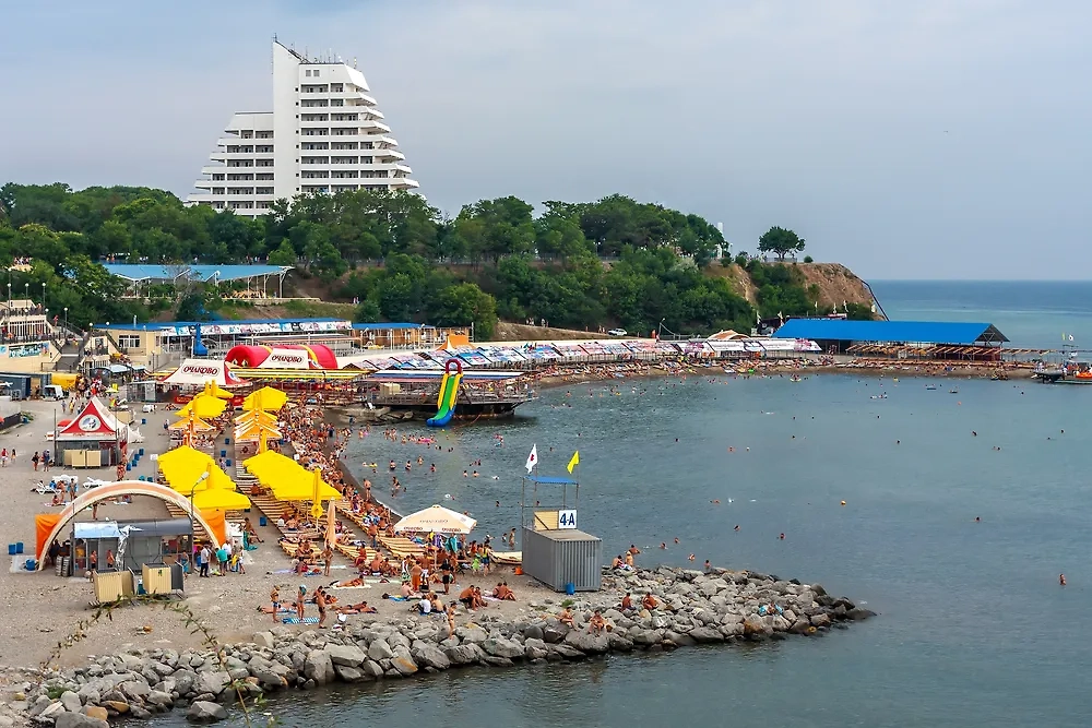 Обложка © Shutterstock / FOTODOM / WR studio