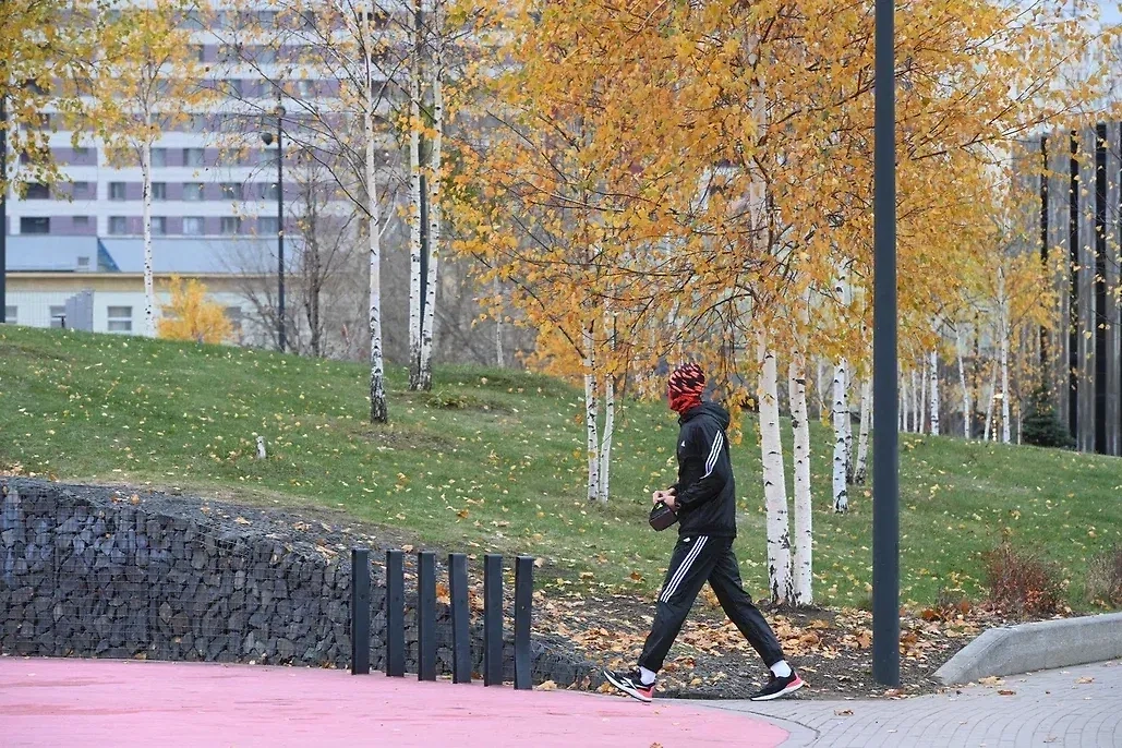 Обложка © Life.ru