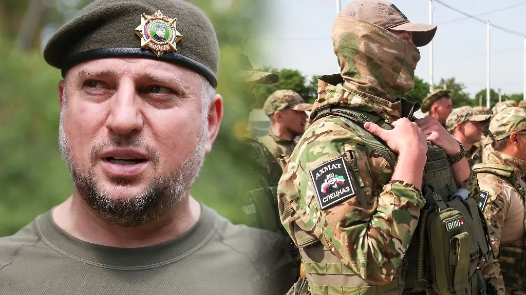 Обложка © ТАСС / Алексей Белкин/NEWS.ru, Александр Река