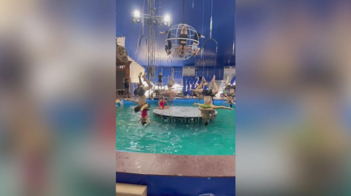 Обложка © SHOT