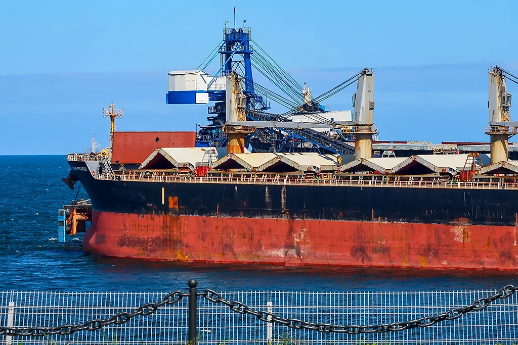 Обложка © ТАСС / Юрий Смитюк