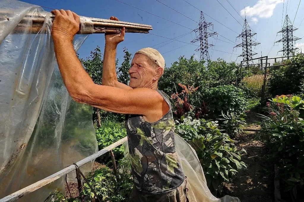 Обложка © ТАСС / Владимир Смирнов