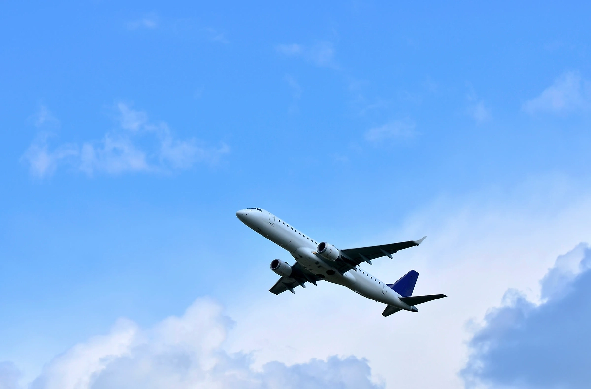 Обложка © Shutterstock / FOTODOM / Maksim Safaniuk