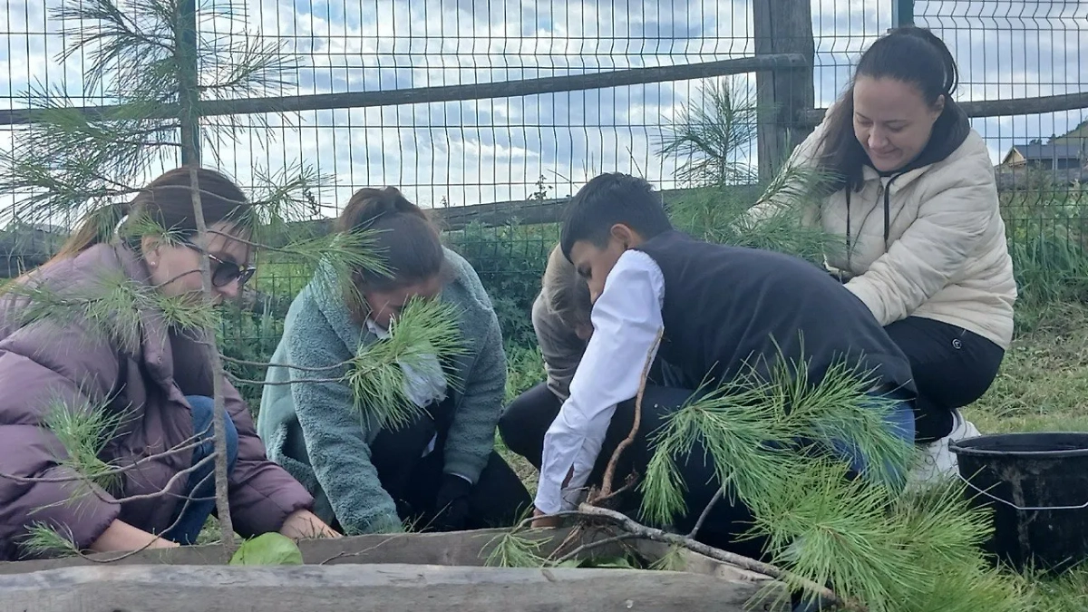 Фото © Алёна Смелова 