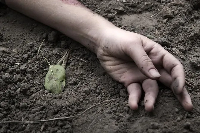 Обложка © Shutterstock / FOTODOM / ArtMari