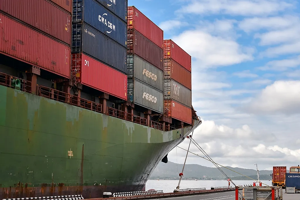 Обложка © ТАСС / Юрий Смитюк