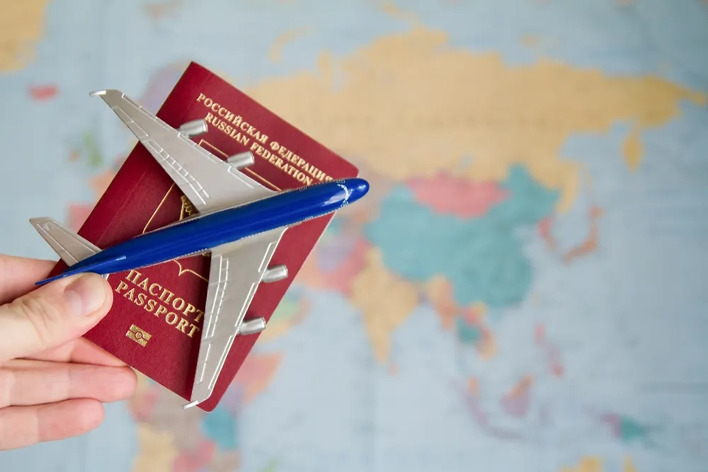 Обложка © Shutterstock / FOTODOM / Ivan Krivenko