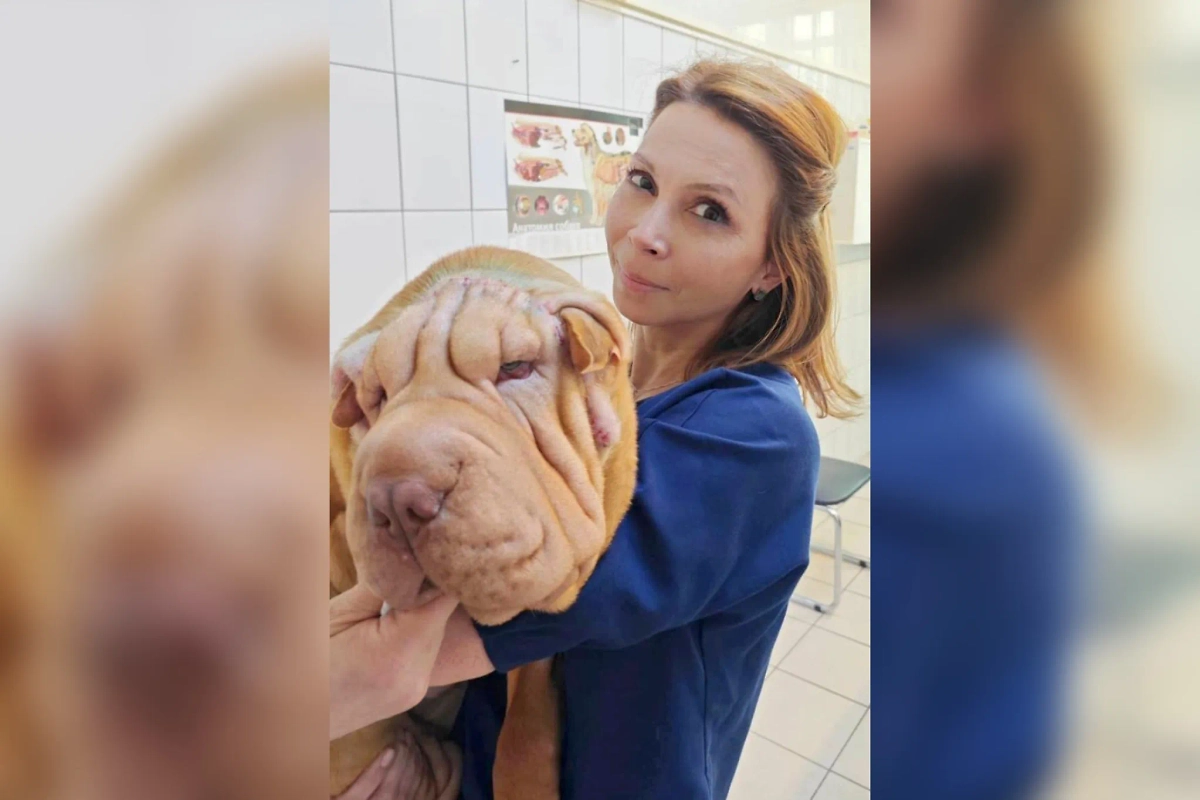 Обложка © Telegram /  Моя Ветклиника