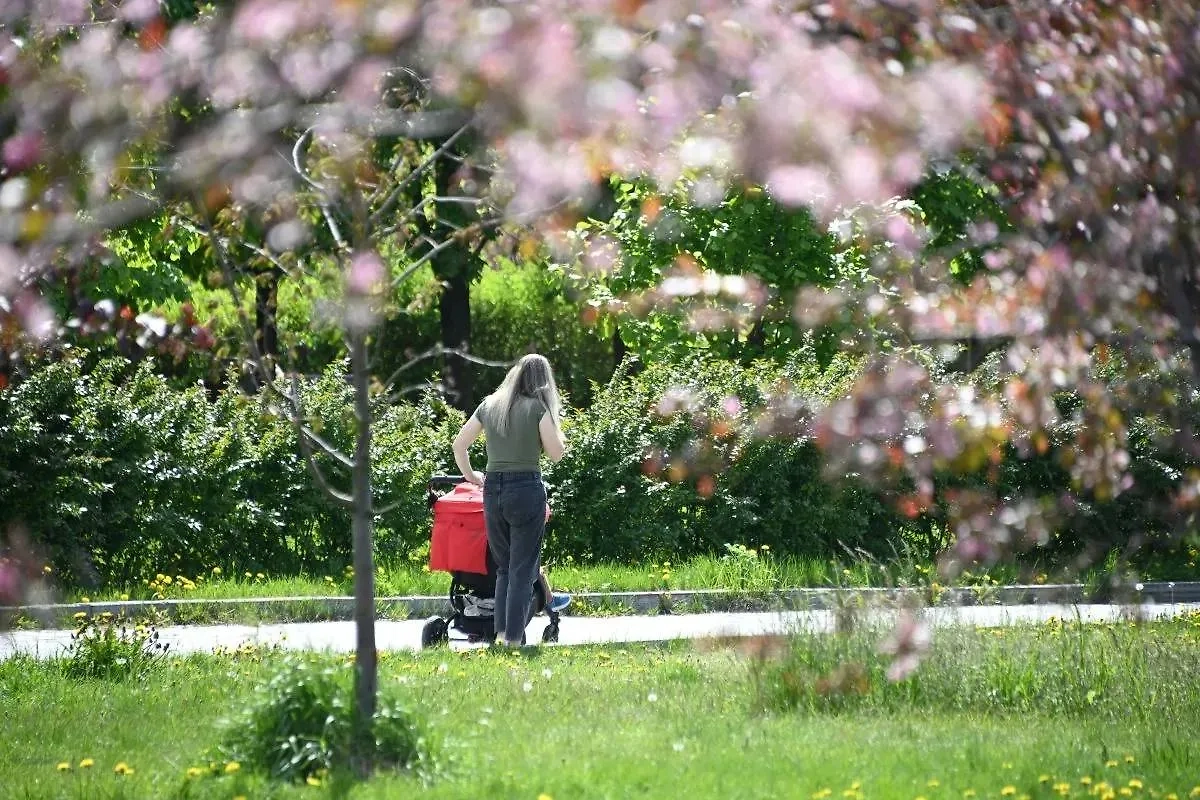 Обложка © Life.ru