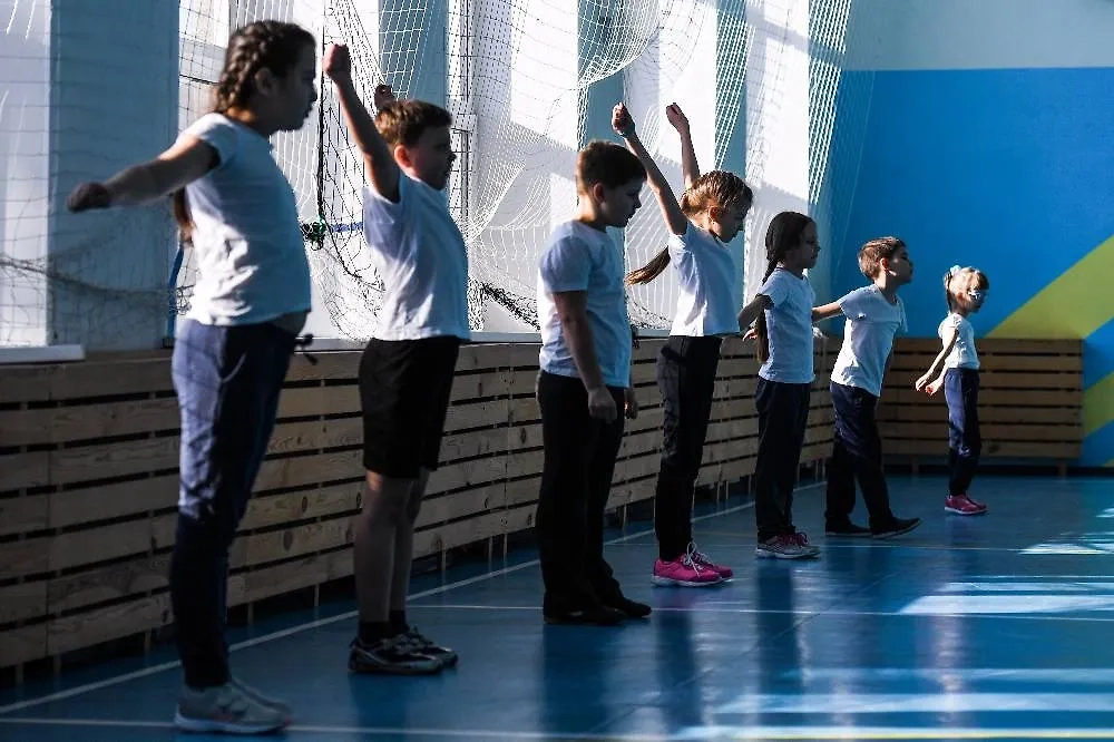 Школьники на уроке. Обложка © ТАСС /Кирилл Кухмарь