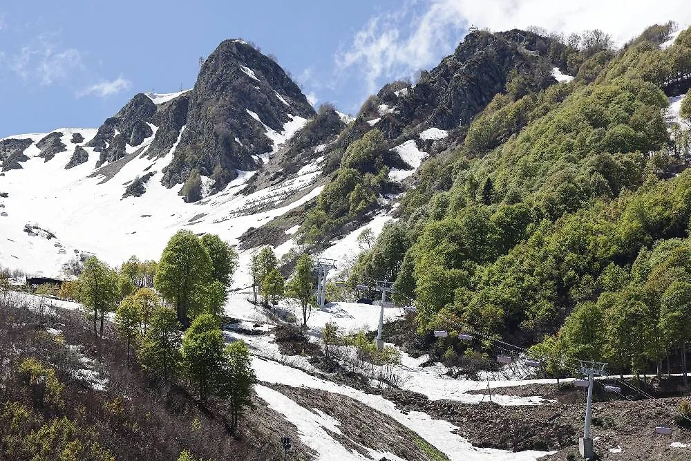 Обложка © ТАСС / Дмитрий Феоктистов