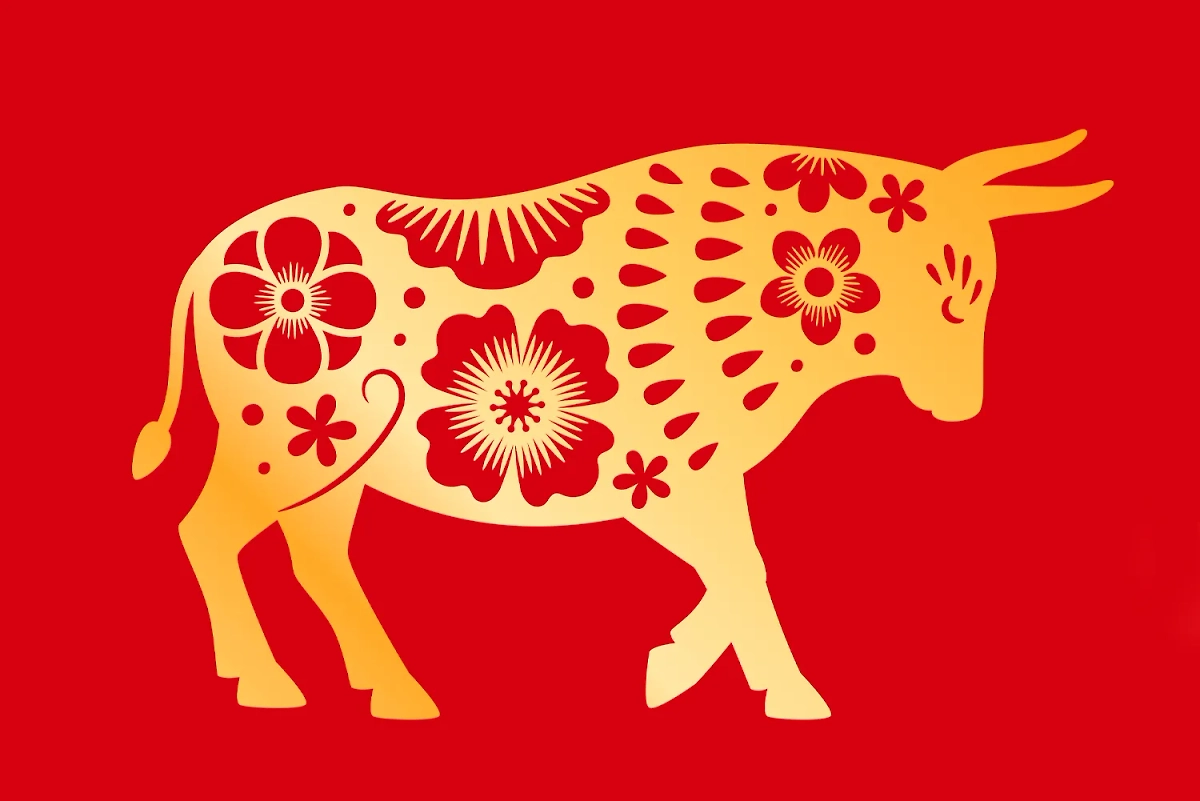 Люди, рождённые в год Быка, — счастливчики. У этого знака из китайского гороскопа дружба со знаком Змеи. Фото © Shutterstock / FOTODOM / StockSmartStart