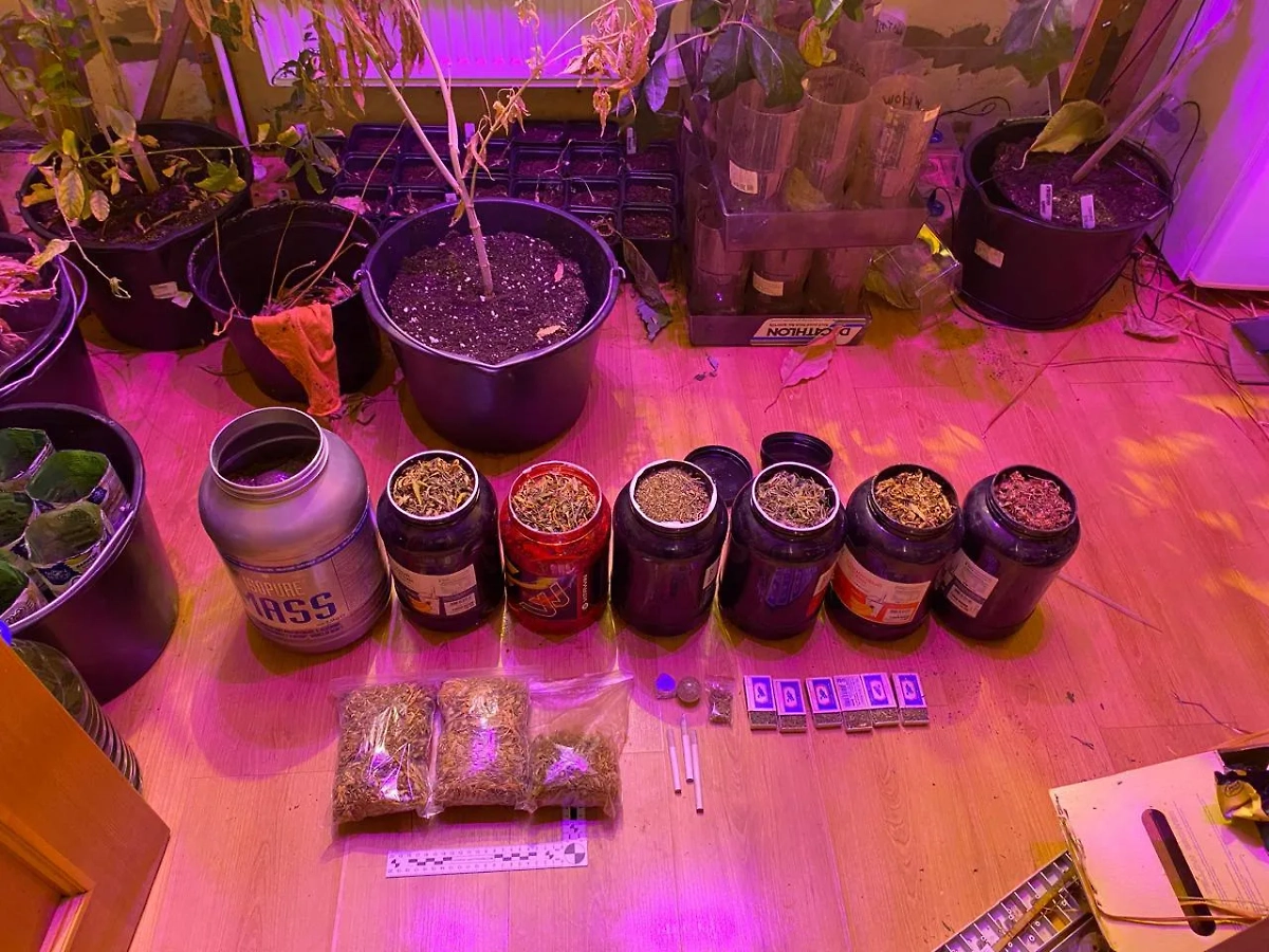 Обложка © Telegram / Транспортная полиция СЗФО