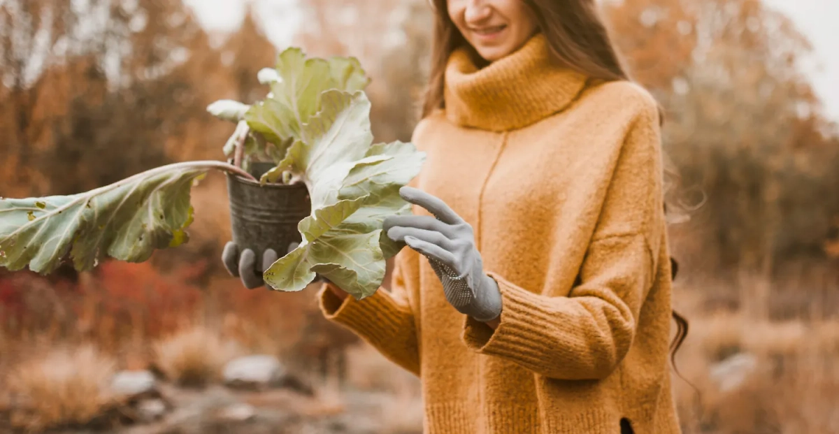 По лунному календарю садовода и огородника на октябрь 2025 огород тоже требует ухода. Фото © Freepik 