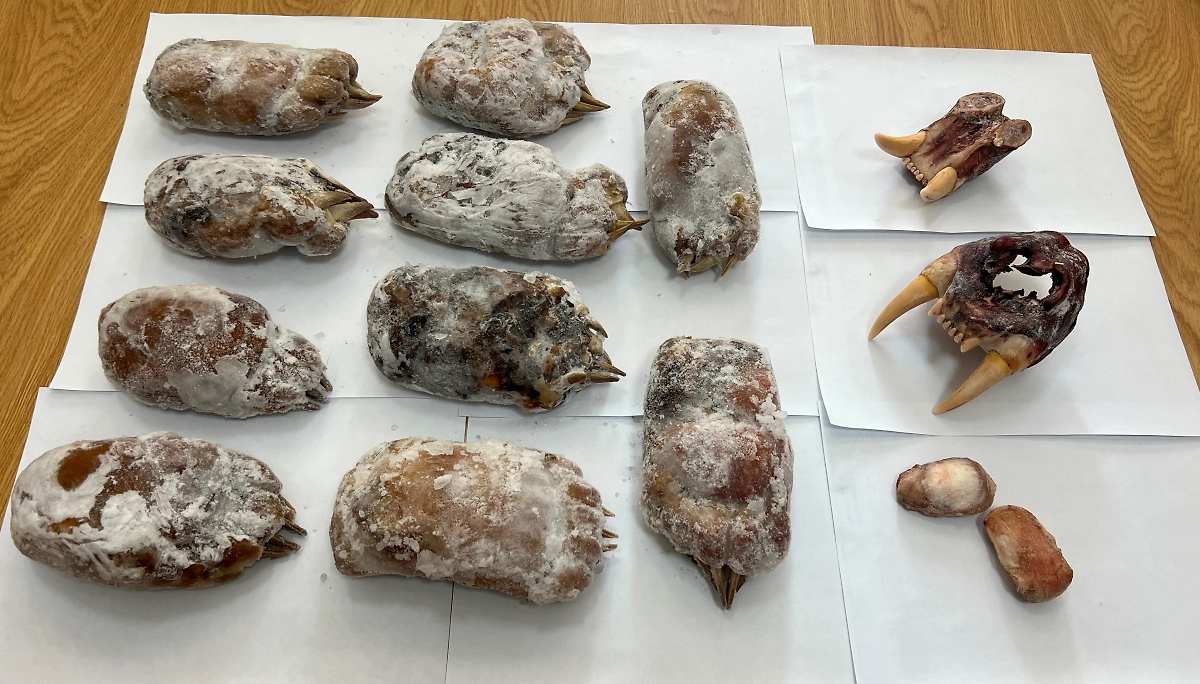 Обложка © Предоставлено Life.ru пресс-службой ФТС