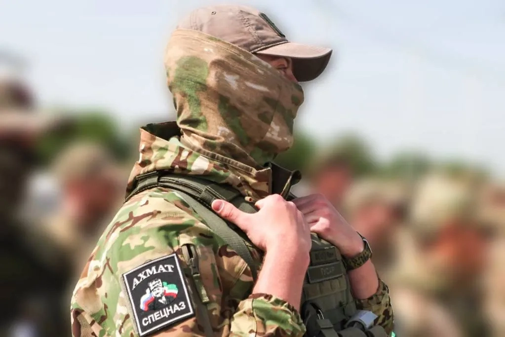 Обложка © ТАСС / Алексей Белкин/NEWS.ru