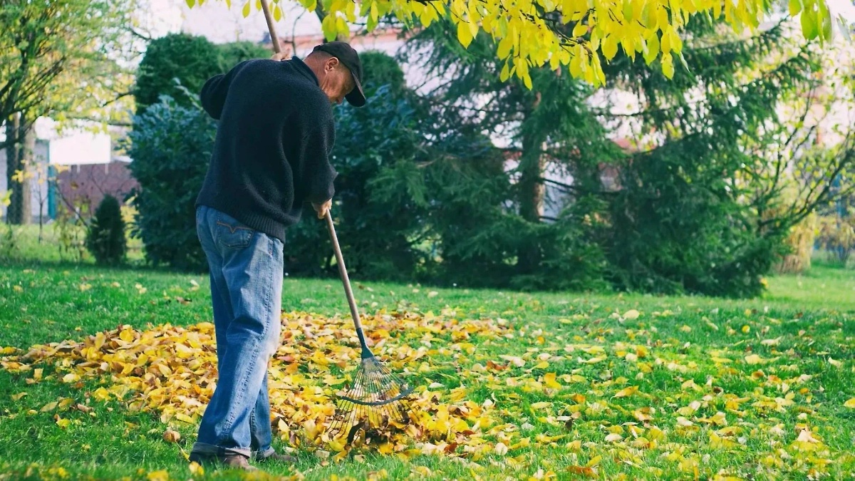 Лунный календарь садовода и огородника на октябрь 2025 года советует выполнить следующие работы на своём участке. Фото © Shutterstock / FOTODOM / encierro