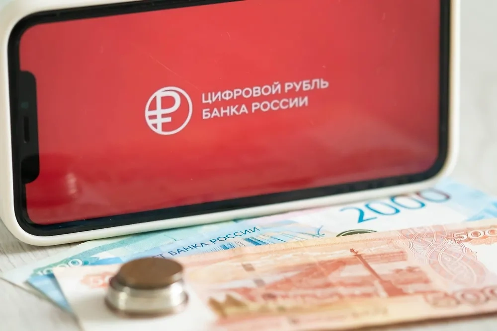 Обложка © Shutterstock / FOTODOM / KateV28