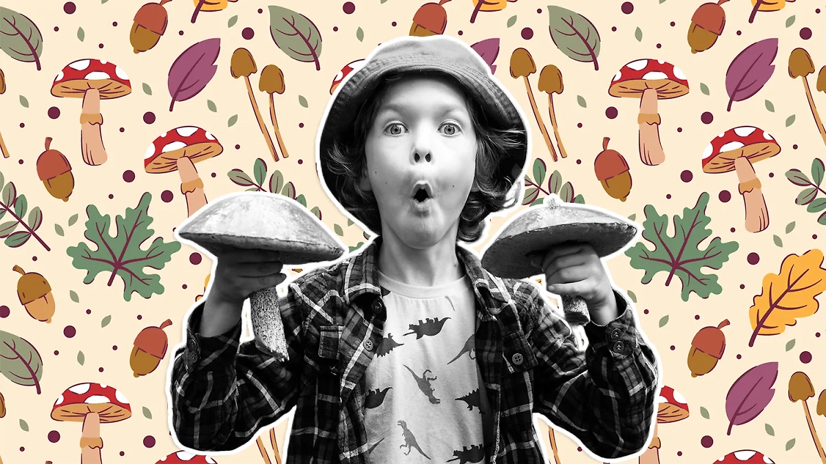 Как выжить в сезон сбора грибов? Почему «тихая охота» так опасна и как отличить ядовитый гриб от съедобного? Коллаж © Life.ru. Обложка © Shutterstock / FOTODOM / mamaza © Freepik