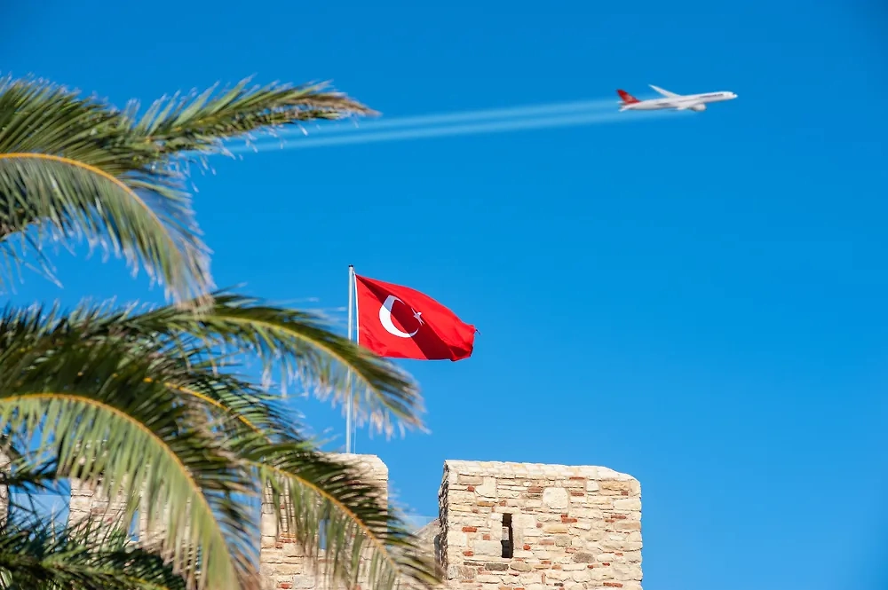 Обложка © Shutterstock / FOTODOM / Milos Momcilovic