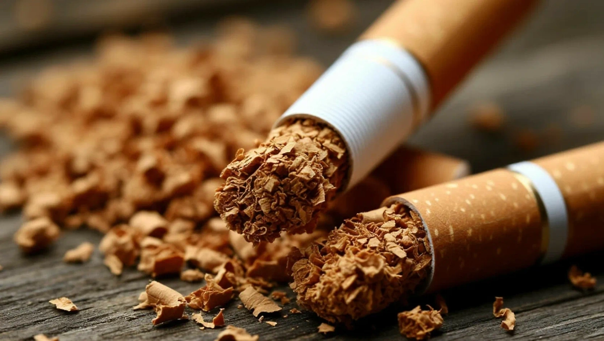 Обложка © Шедеврум / Life.ru