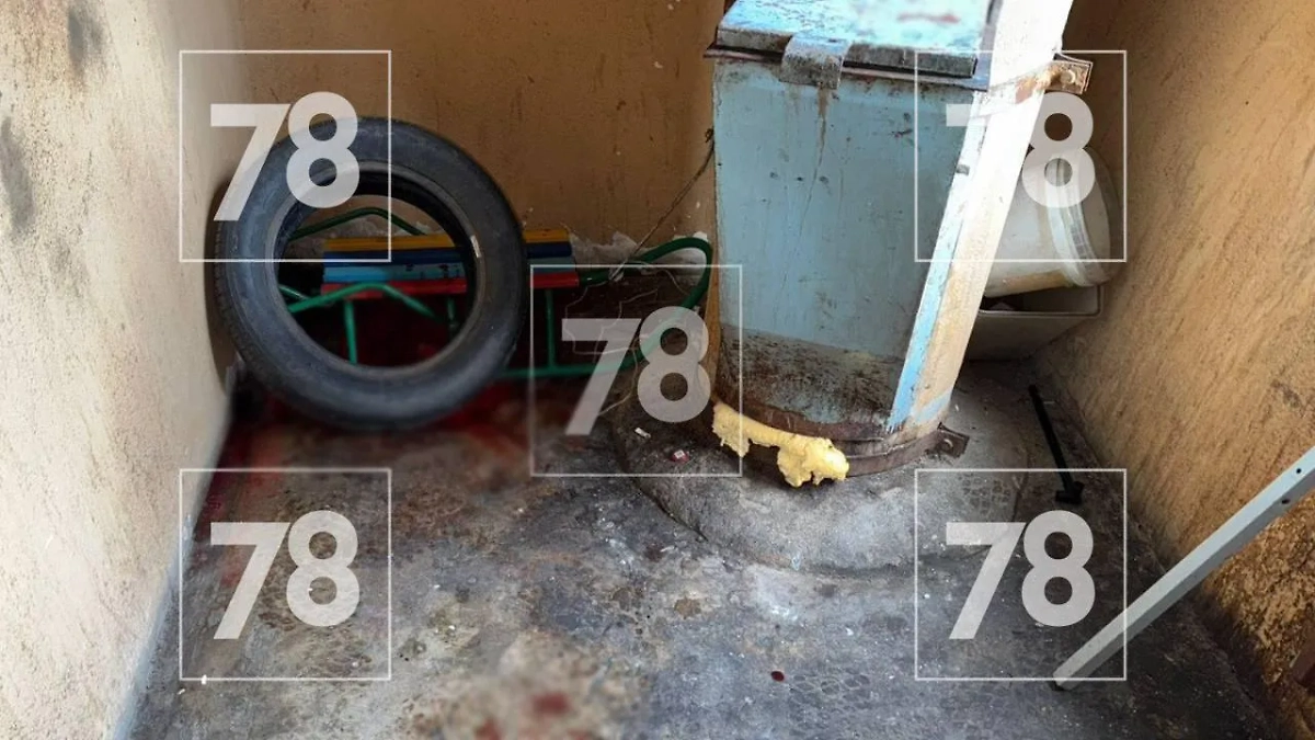 Мусоропровод в Ленобласти. Фото © 78.ru