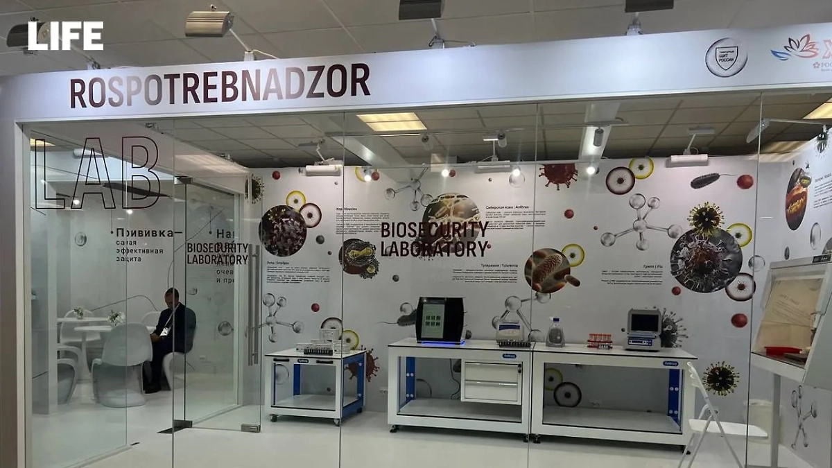 Обложка © Life.ru