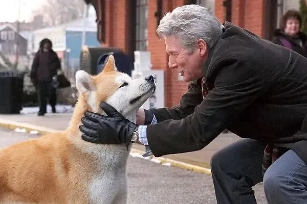 Лучшие фильмы на вечер: подборка, чтобы провести время вместе. Фото © «Хатико: Самый верный друг», режиссёр Лассе Халльстрём, сценаристы Стефен П. Линдси, Канэто Синдо / Kinopoisk 