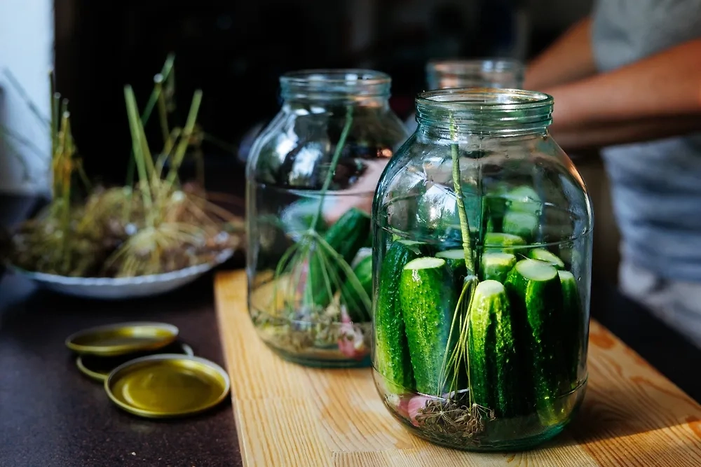 Огурцы в банке без стерилизации — вкусные, на зиму. Рецепт, чтобы хрустящие были. Фото © Shutterstock / FOTODOM / NataAkuLova