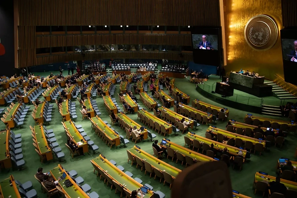 Обложка © Shutterstock / FOTODOM / noamgalai