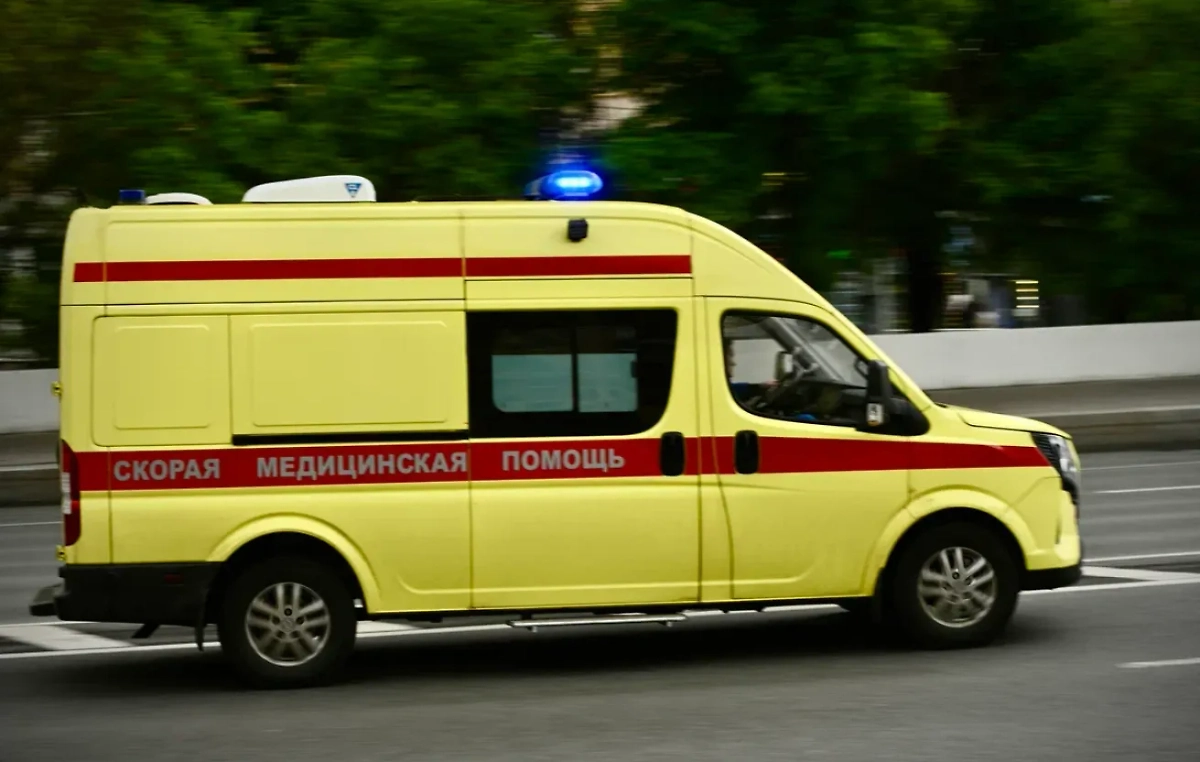 Обложка © Life.ru